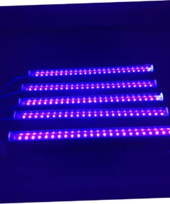 UV Lighting